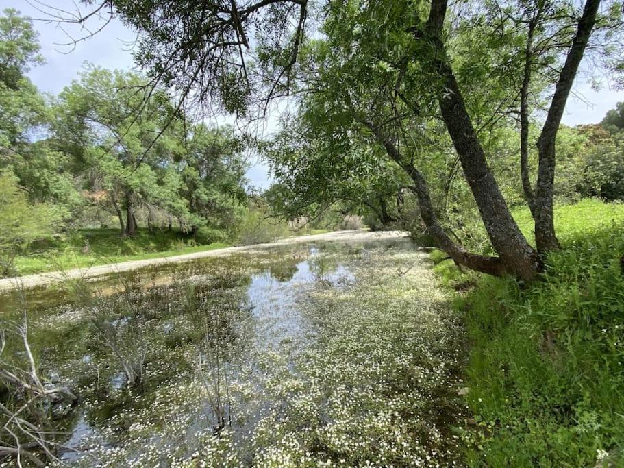 Finca La Alcolehuela En Parque Natural De Despenaperros Санта-Элена Экстерьер фото