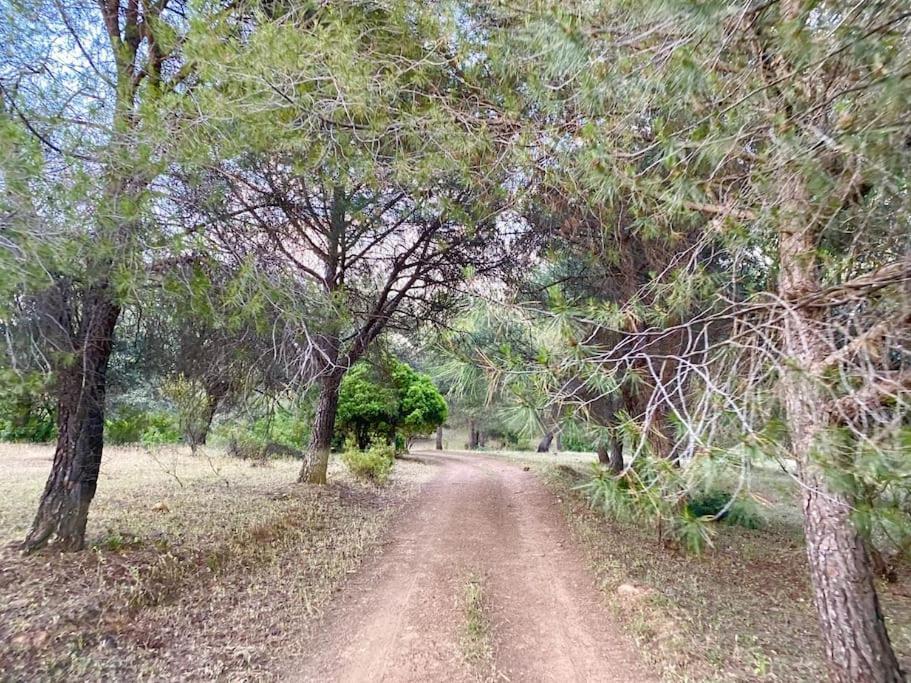Finca La Alcolehuela En Parque Natural De Despenaperros Санта-Элена Экстерьер фото