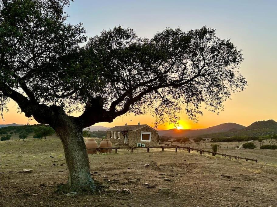 Finca La Alcolehuela En Parque Natural De Despenaperros Санта-Элена Экстерьер фото