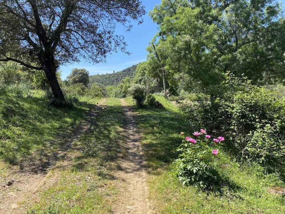 Finca La Alcolehuela En Parque Natural De Despenaperros Санта-Элена Экстерьер фото
