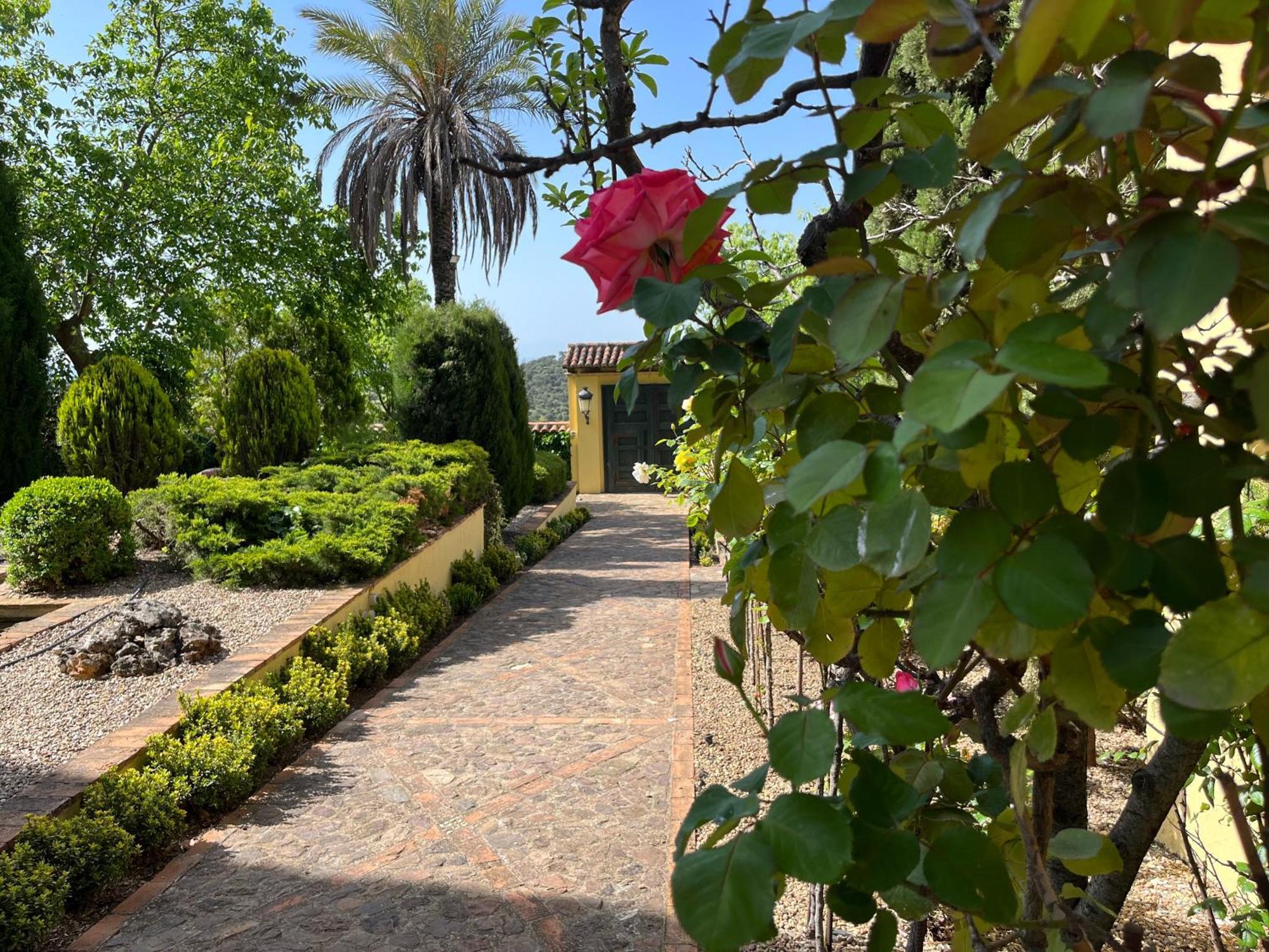 Finca La Alcolehuela En Parque Natural De Despenaperros Санта-Элена Экстерьер фото